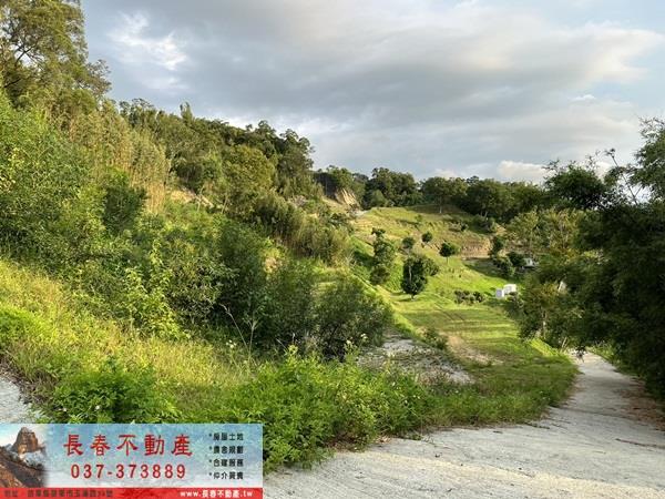 苗栗公館農地_建地_山坡地-14