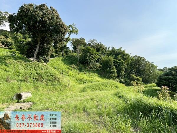 苗栗公館農地_建地_山坡地-2
