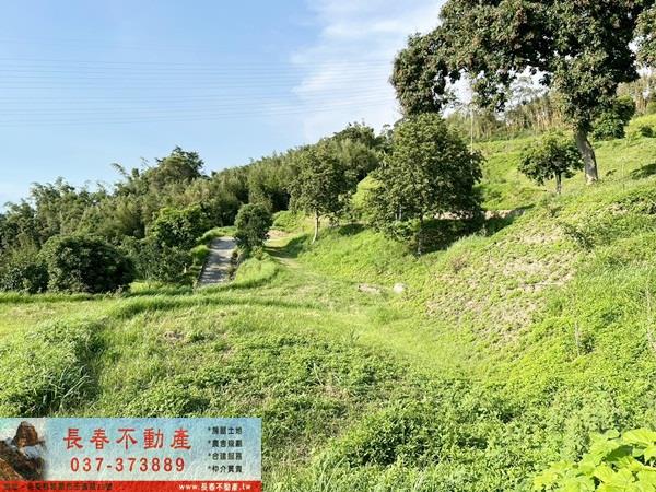 苗栗公館農地_建地_山坡地-3