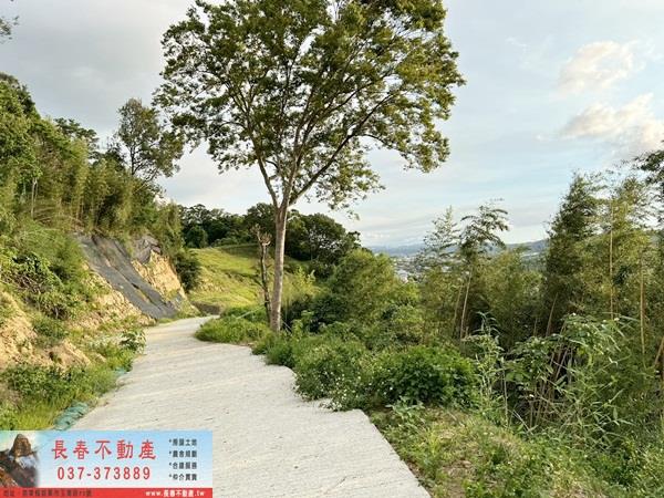 苗栗公館農地_建地_山坡地-8