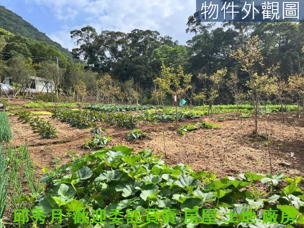 新北淡水農地-8