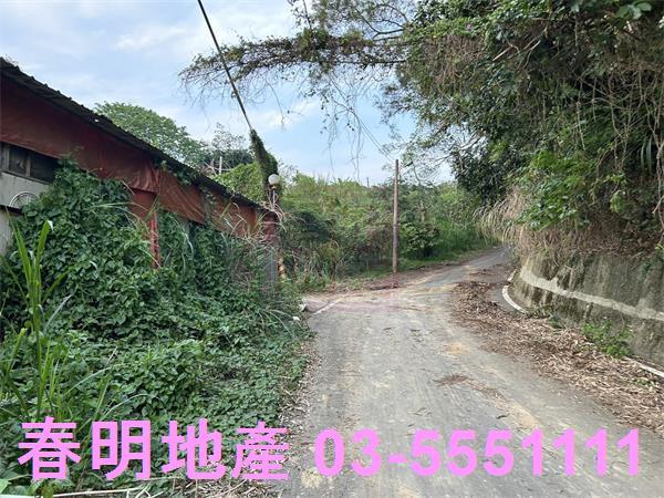 新竹香山農地_林地-11