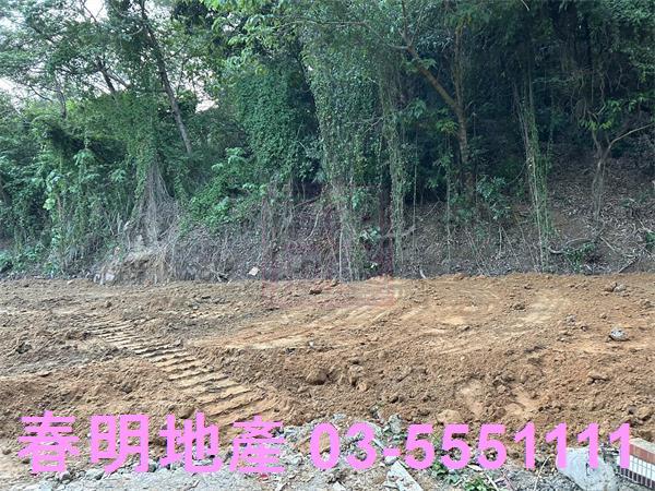 新竹香山農地_林地-12