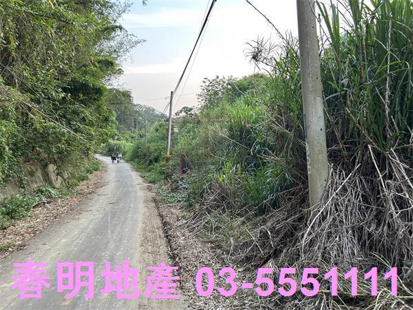 新竹香山農地_林地-4