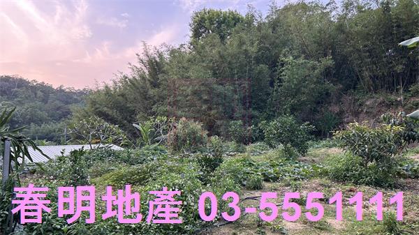 新竹香山農地_林地-6
