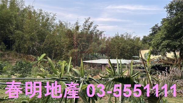 新竹香山農地_林地-7