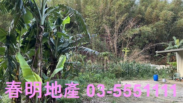 新竹香山農地_林地-9
