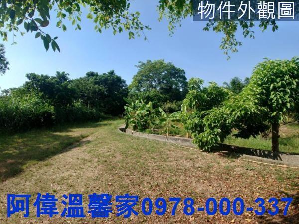香山農地_山坡地_休閒地-1