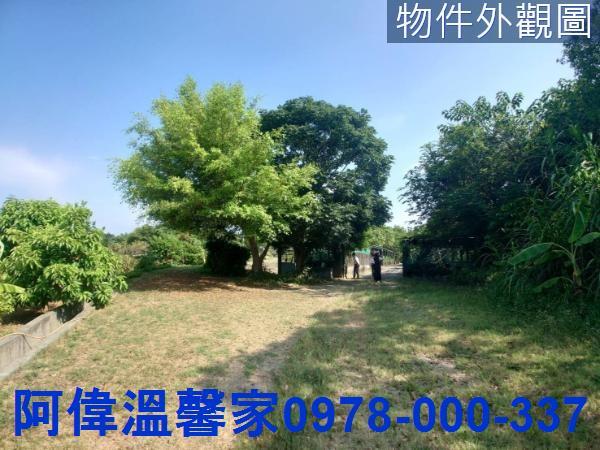 香山農地_山坡地_休閒地-2