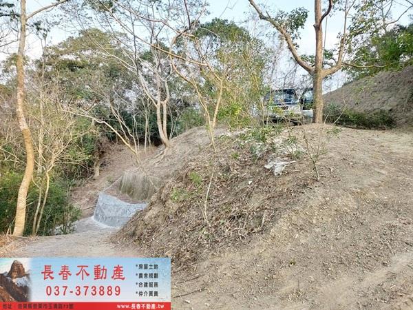 苗栗農地_山坡地_休閒地-3