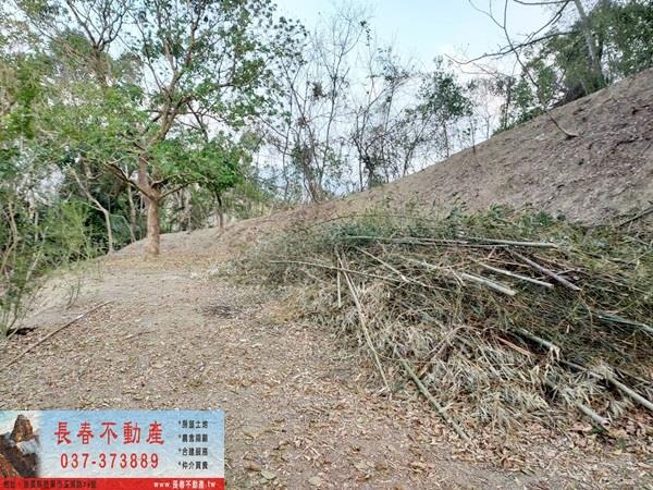 苗栗農地_山坡地_休閒地-4