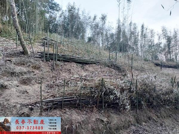 苗栗農地_山坡地_休閒地-5