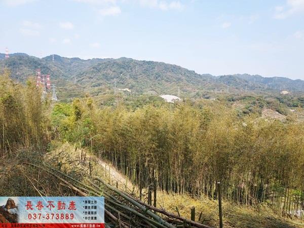 苗栗農地_山坡地_休閒地-6