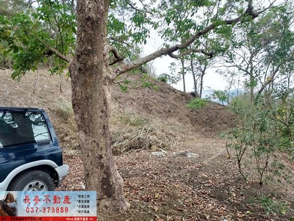 苗栗農地_山坡地_休閒地-7