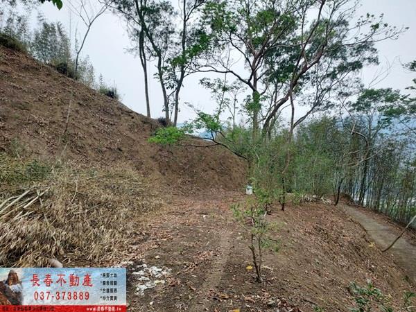 苗栗農地_山坡地_休閒地-8