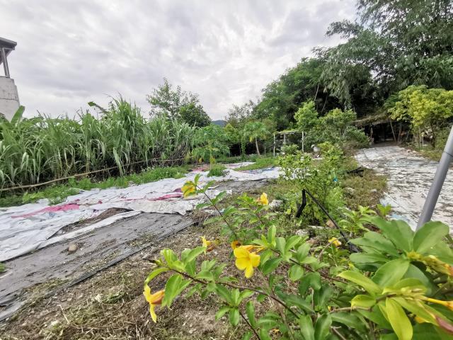 宜蘭員山農地_建地-10