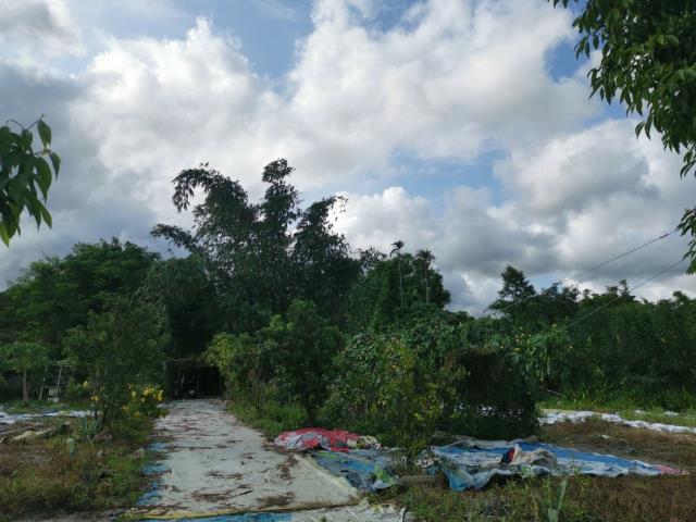 宜蘭員山農地_建地-2