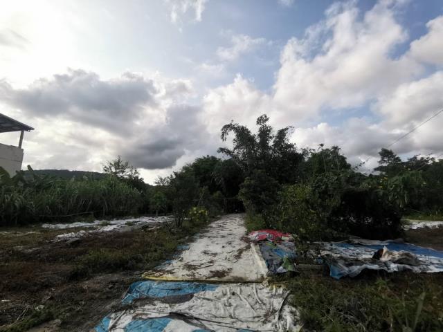 宜蘭員山農地_建地-6