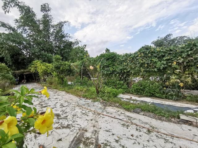 宜蘭員山農地_建地-9