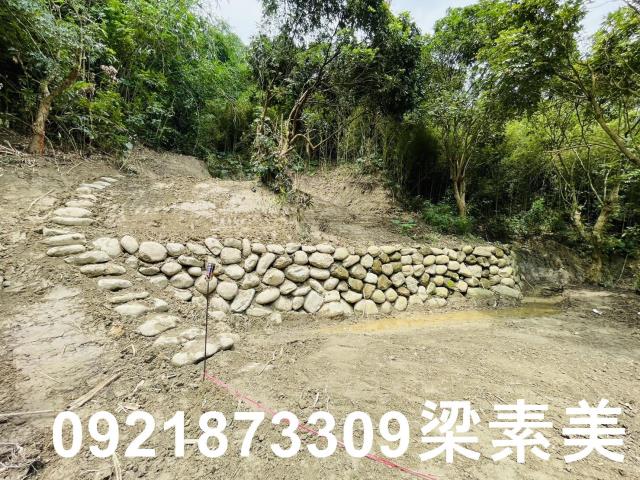 白河農地_建地-5