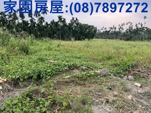 屏東竹田農地_休閒地-2