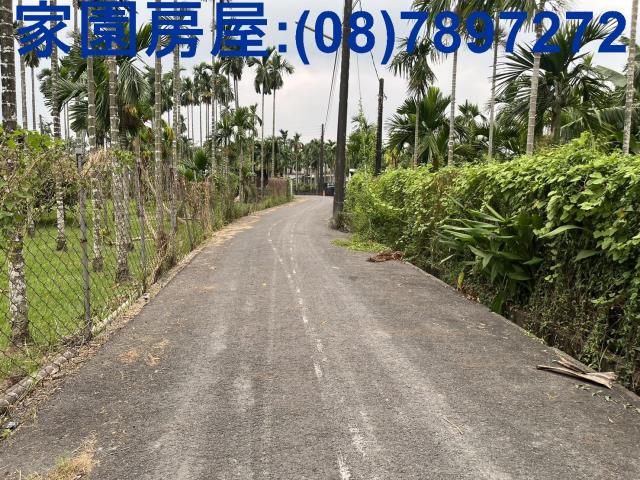 屏東竹田農地_休閒地-4