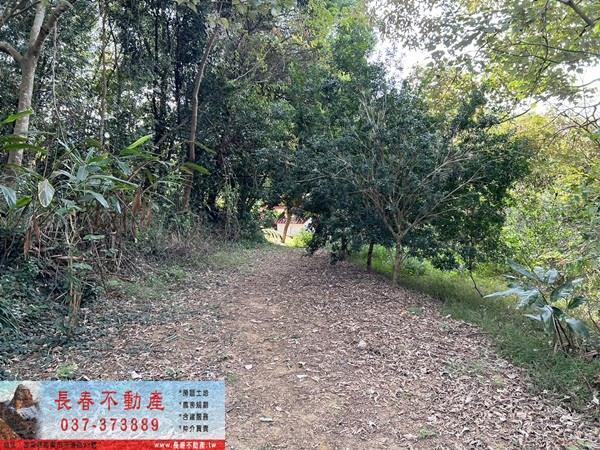 苗栗頭屋農地_休閒地_都計內農牧用地-5