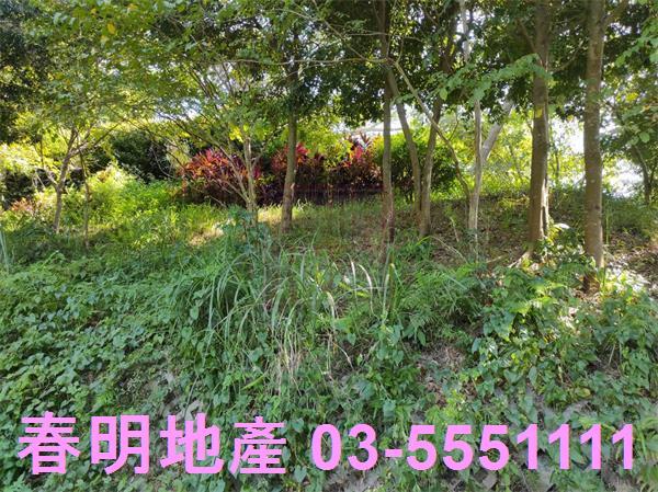 新竹竹東農地_林地-13