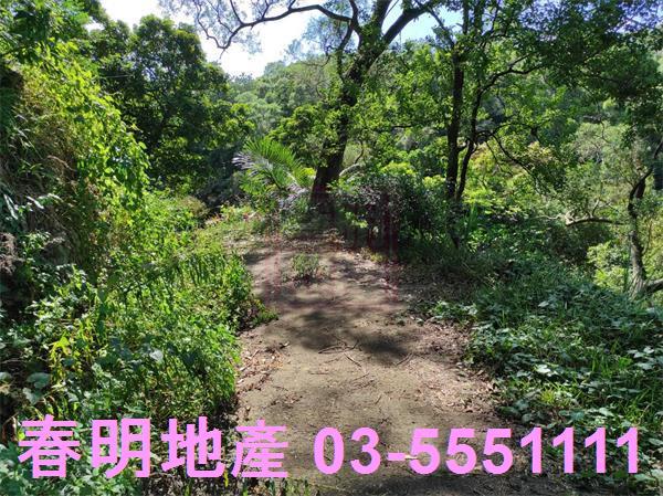 新竹竹東農地_林地-14