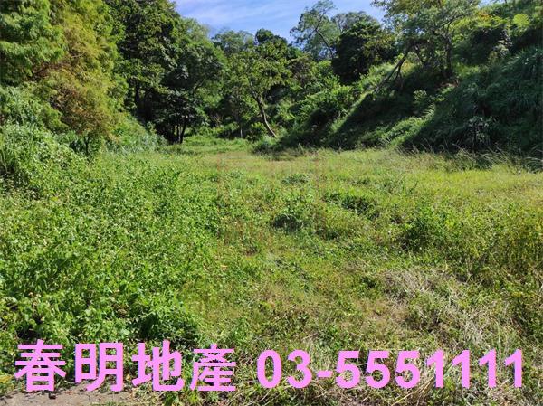 新竹竹東農地_林地-1