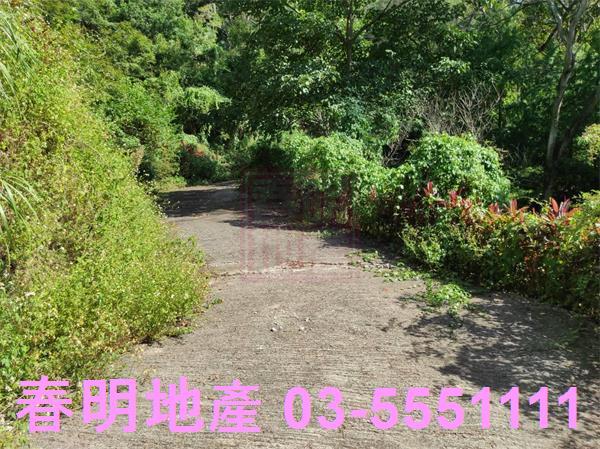 新竹竹東農地_林地-2