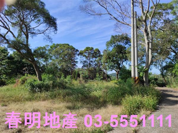 新竹竹東農地_林地-4