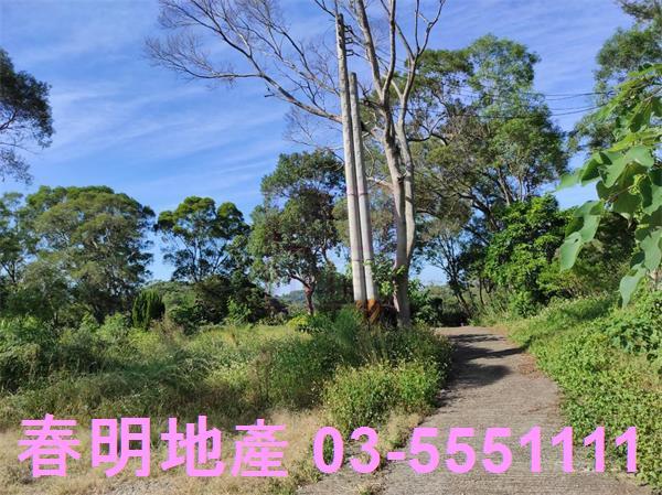 新竹竹東農地_林地-5