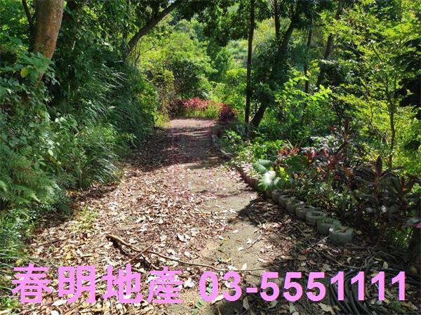 新竹竹東農地_林地-6