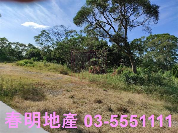 新竹竹東農地_林地-8