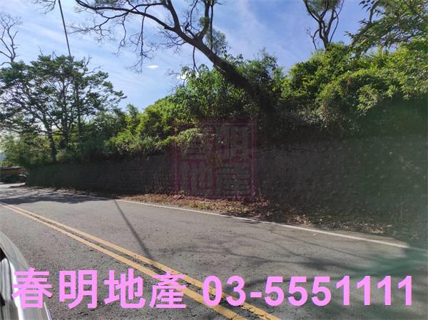新竹竹東農地_林地-9