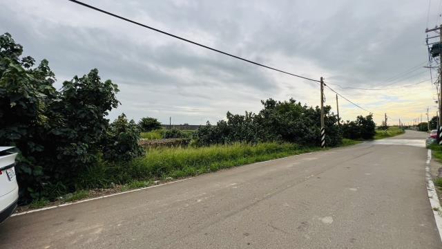 桃園大園農地_交通用地-2