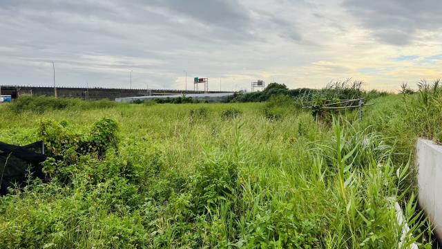 桃園大園農地_交通用地-3