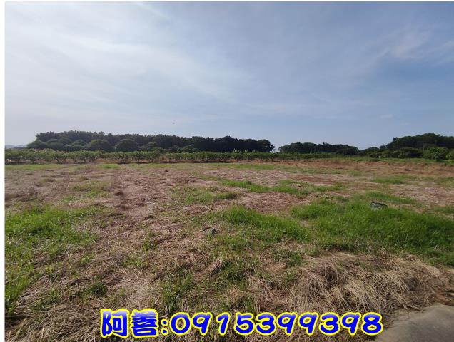 玉井農地_休閒地-5