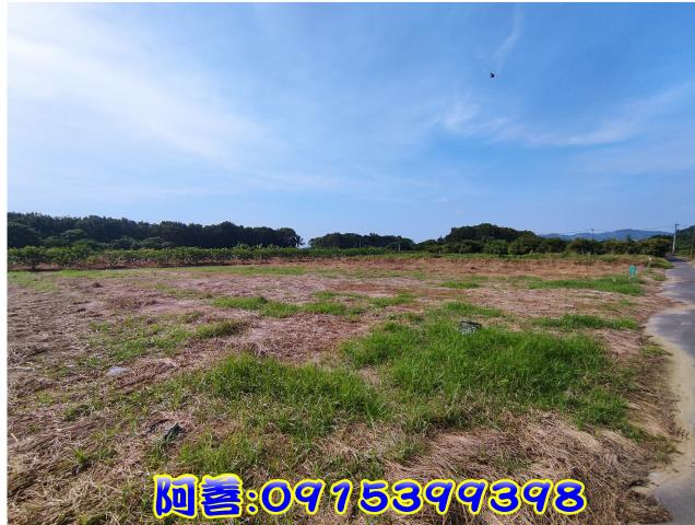 玉井農地_休閒地-6