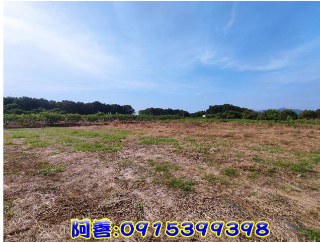 玉井農地_休閒地-9