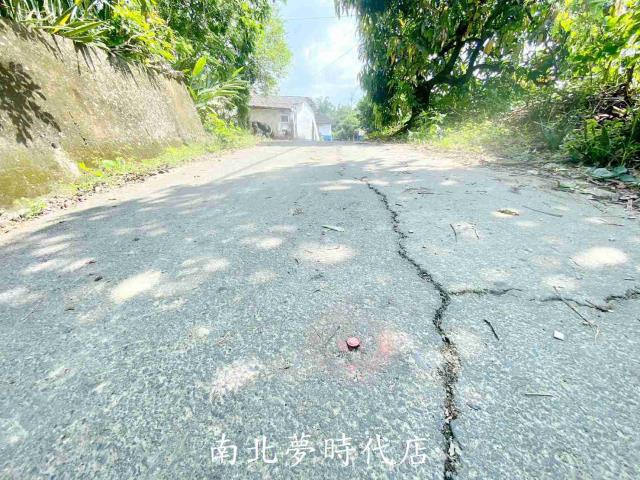 台南玉井建地-8