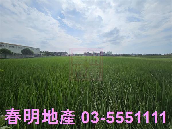 新竹農地-2