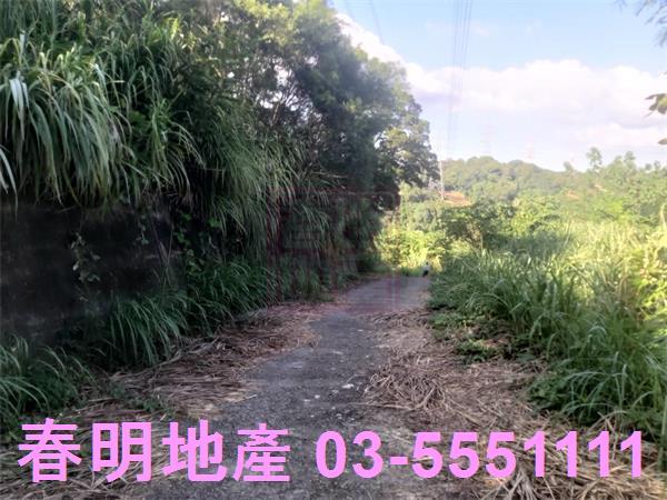新竹寶山農地_建地_林地-10