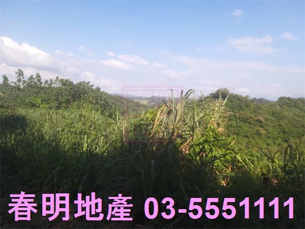 新竹寶山農地_建地_林地-8