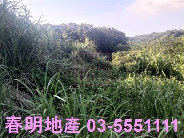 新竹寶山農地_建地_林地-9