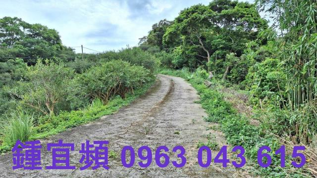 三灣農地_山坡地-10