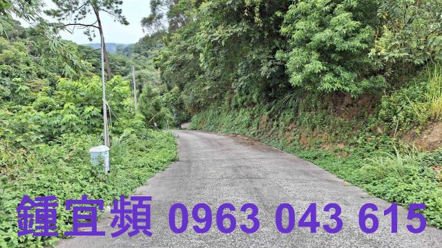 三灣農地_山坡地-11