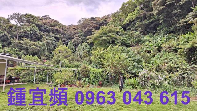 三灣農地_山坡地-2