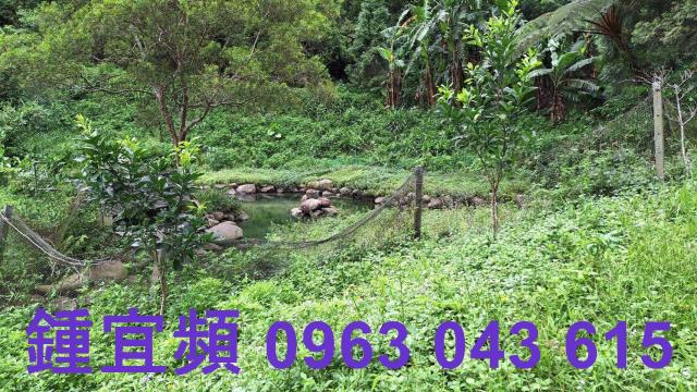 三灣農地_山坡地-4